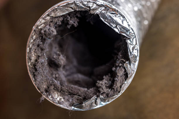 Emergency Air Duct Cleaning in Williamston, MI